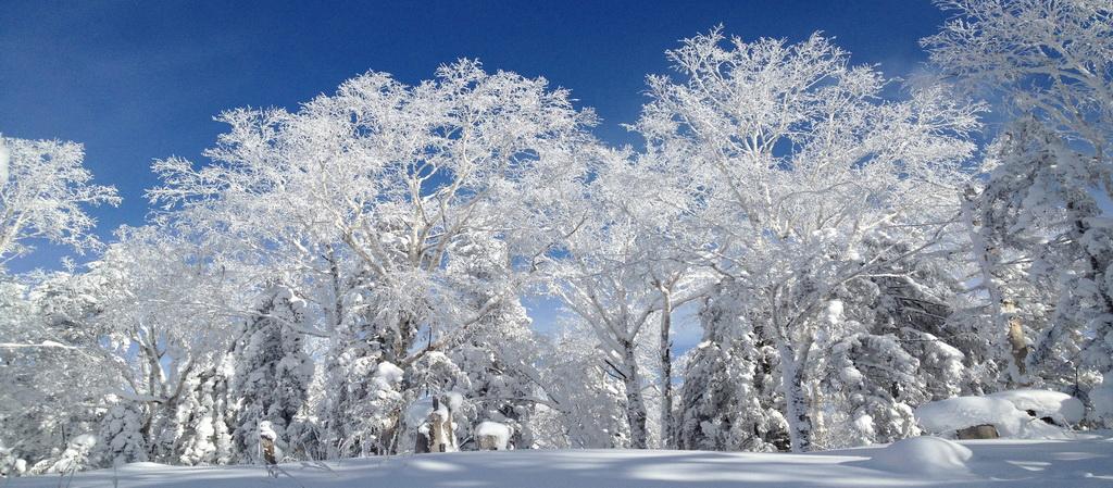 北京出發(fā)東北雪鄉(xiāng)7日自駕游：中國最美雪鄉(xiāng)、查干湖冬捕、虎峰嶺霧淞、雪鄉(xiāng)溫泉