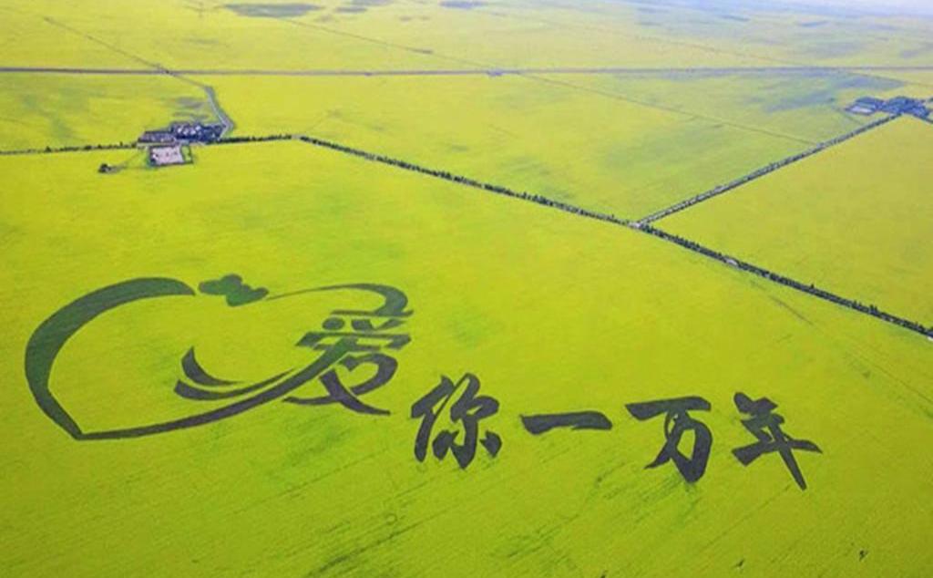 江蘇出發(fā)青海12日自駕游：青海湖-門(mén)源油菜花-黃河三峽-茶卡鹽湖12日全程穿越自駕游