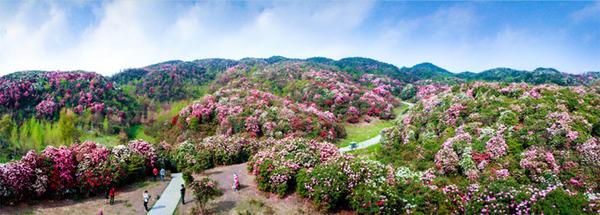 北京出發(fā)西安貴州廣西13日自駕游：百里杜鵑-黃果樹(shù)瀑布-龍脊梯田自駕游