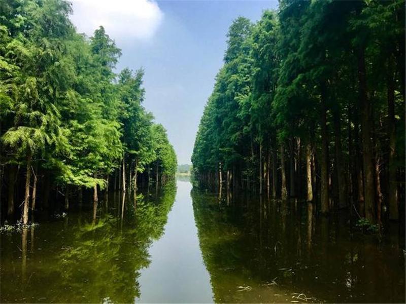 武漢出發(fā)仙桃2日自駕游：京山空山洞-莫愁村-沙洋油菜花-仙桃夢里水鄉(xiāng)2天踏青游