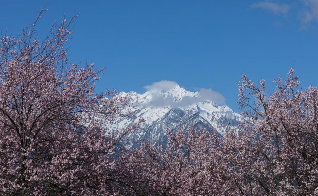 全國出發(fā)林芝桃花17日自駕：川藏南線318-波密噶拉桃花溝-雅魯藏布大峽谷-羊湖-納木錯17日自駕游