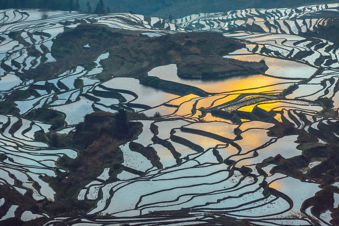 美國東西海岸16日落地自駕游：洛杉磯-舊金山-1號公路-拉斯維加斯-黃石公園16日自駕