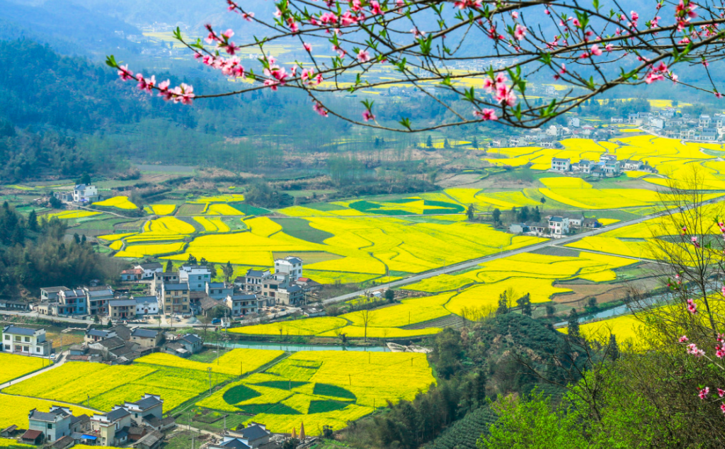 青島出發(fā)安徽6日攝影自駕：柯村油菜花+桃花潭+皖南川藏線+寧國+新安江山水畫廊