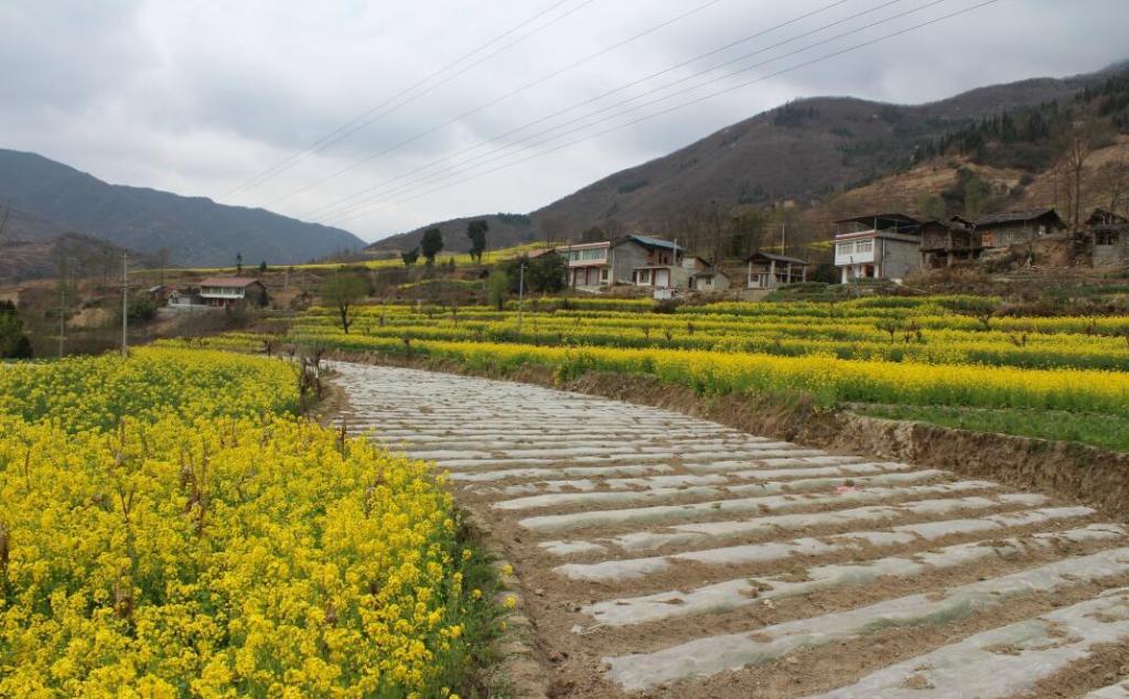 綿陽自駕游路線推薦_攻略