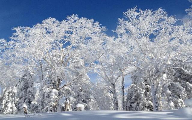 北京出發(fā)東北雪鄉(xiāng)7日自駕游：中國(guó)最美雪鄉(xiāng)、查干湖冬捕、虎峰嶺霧淞、雪鄉(xiāng)溫泉