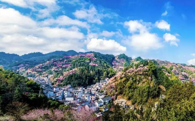 武漢出發(fā)湖北周邊自駕游：徽州古城-歙縣賣花漁村-屯溪秀里3日賞花自駕游