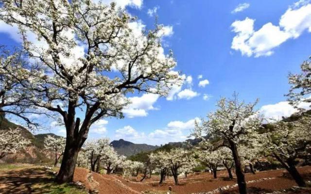 北京周邊1日自駕游：霞云嶺國家森林公園-金水湖1日自駕游