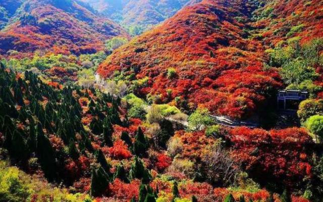 北京出發(fā)河北山東8日自駕：石頭村、西柏坡、白鹿溫泉、王硇村8日自駕